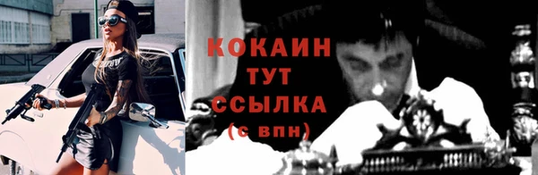 PSILOCYBIN Верея