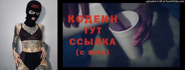 PSILOCYBIN Верея