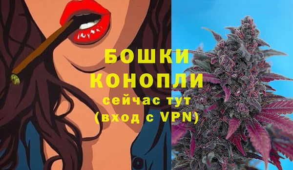 PSILOCYBIN Верея