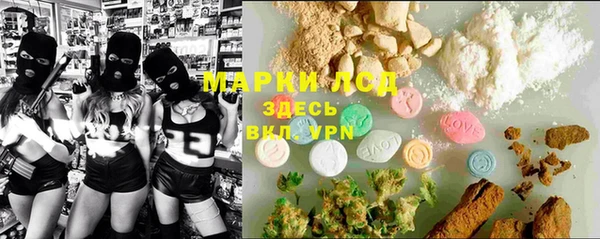 PSILOCYBIN Верея