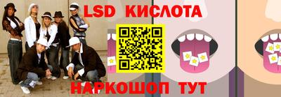mdpv Гатчина