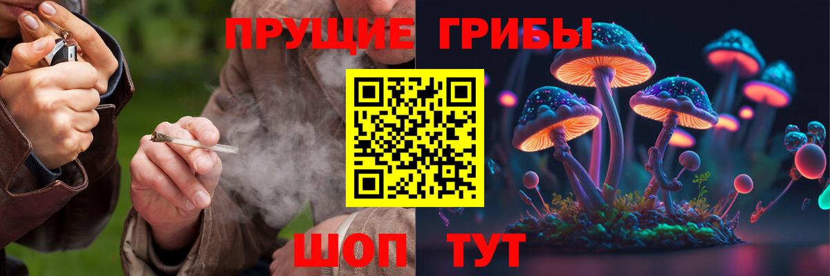 Псилоцибиновые грибы MAGIC MUSHROOMS Вязники
